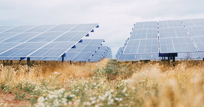 Solcellepark for borgerne: Elektricitet til 37.500 husstande Solcellepark for borgerne: Elektricitet til 37.500 husstande