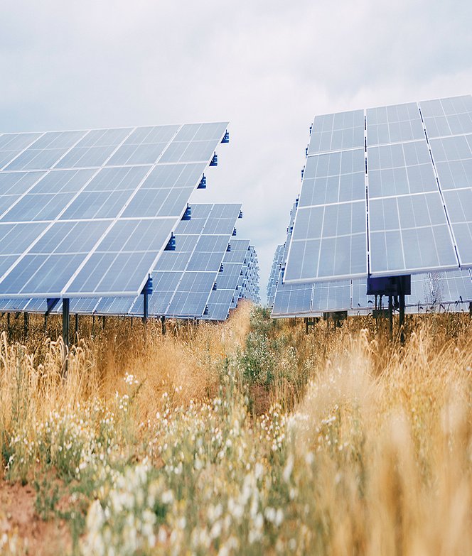 Solcellepark for borgerne: Elektricitet til 37.500 husstande